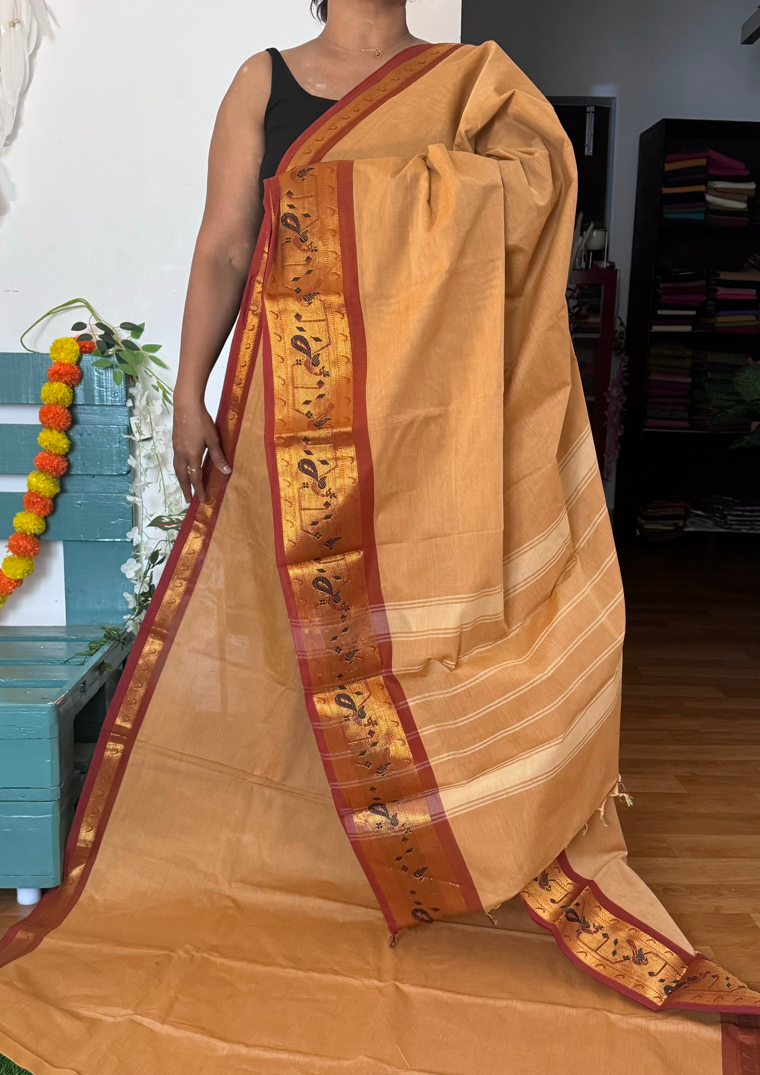 Biscuit Paithani Border Chettinadu Cotton Saree