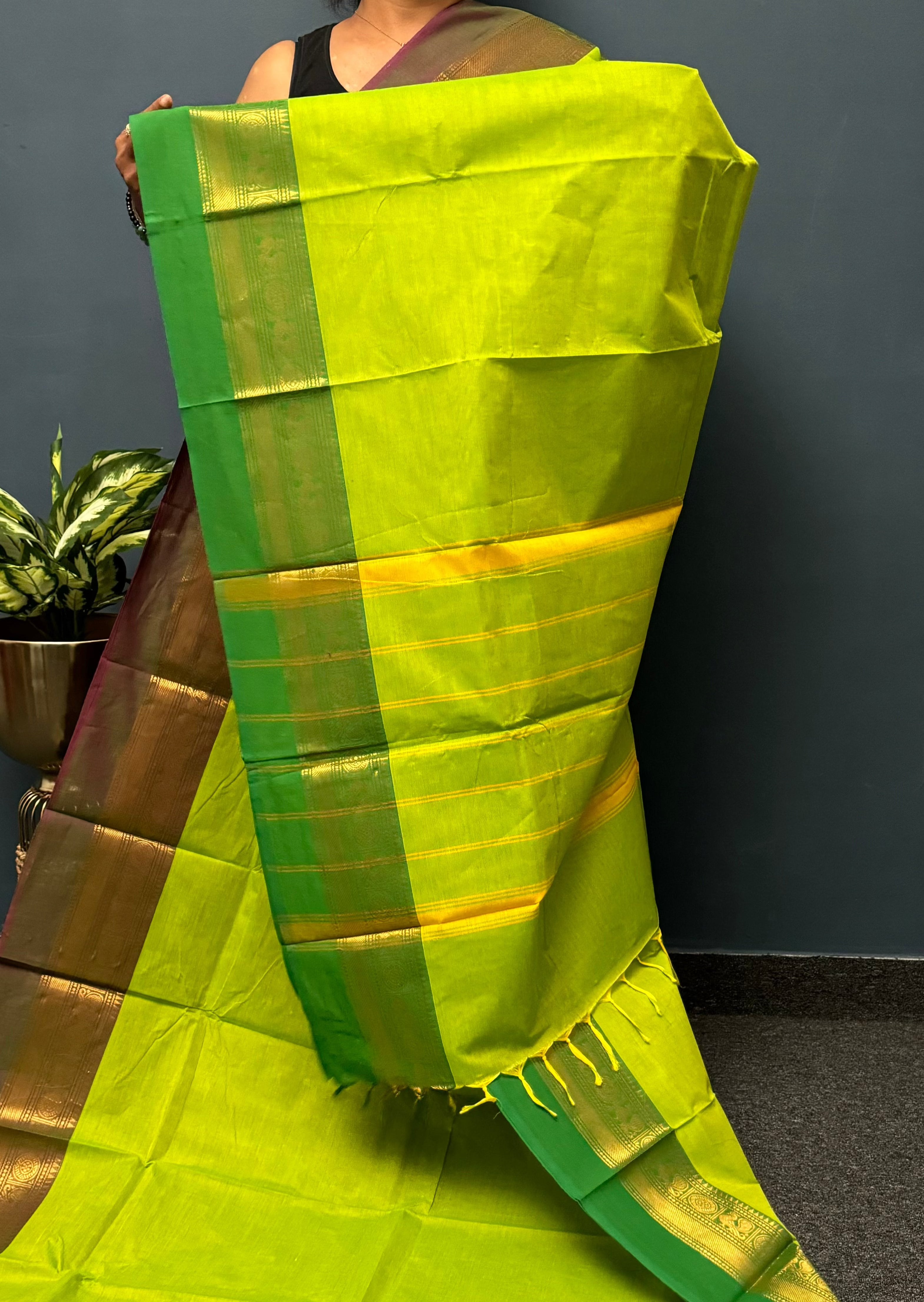 Parrot Green Ganga Jamuna Chettinadu Cotton Saree