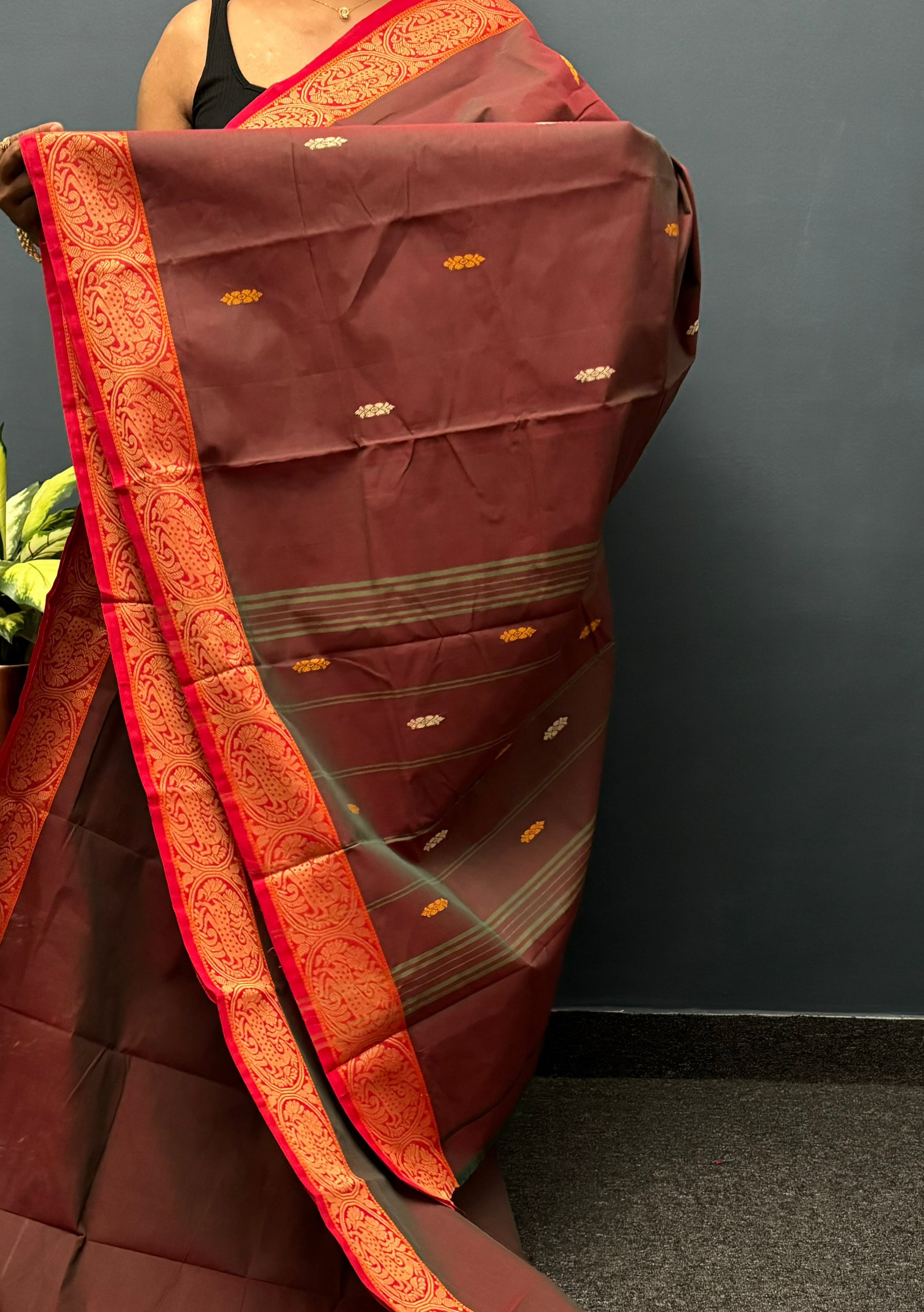 Chocolate Brown Deer Border Chettinadu Cotton Saree