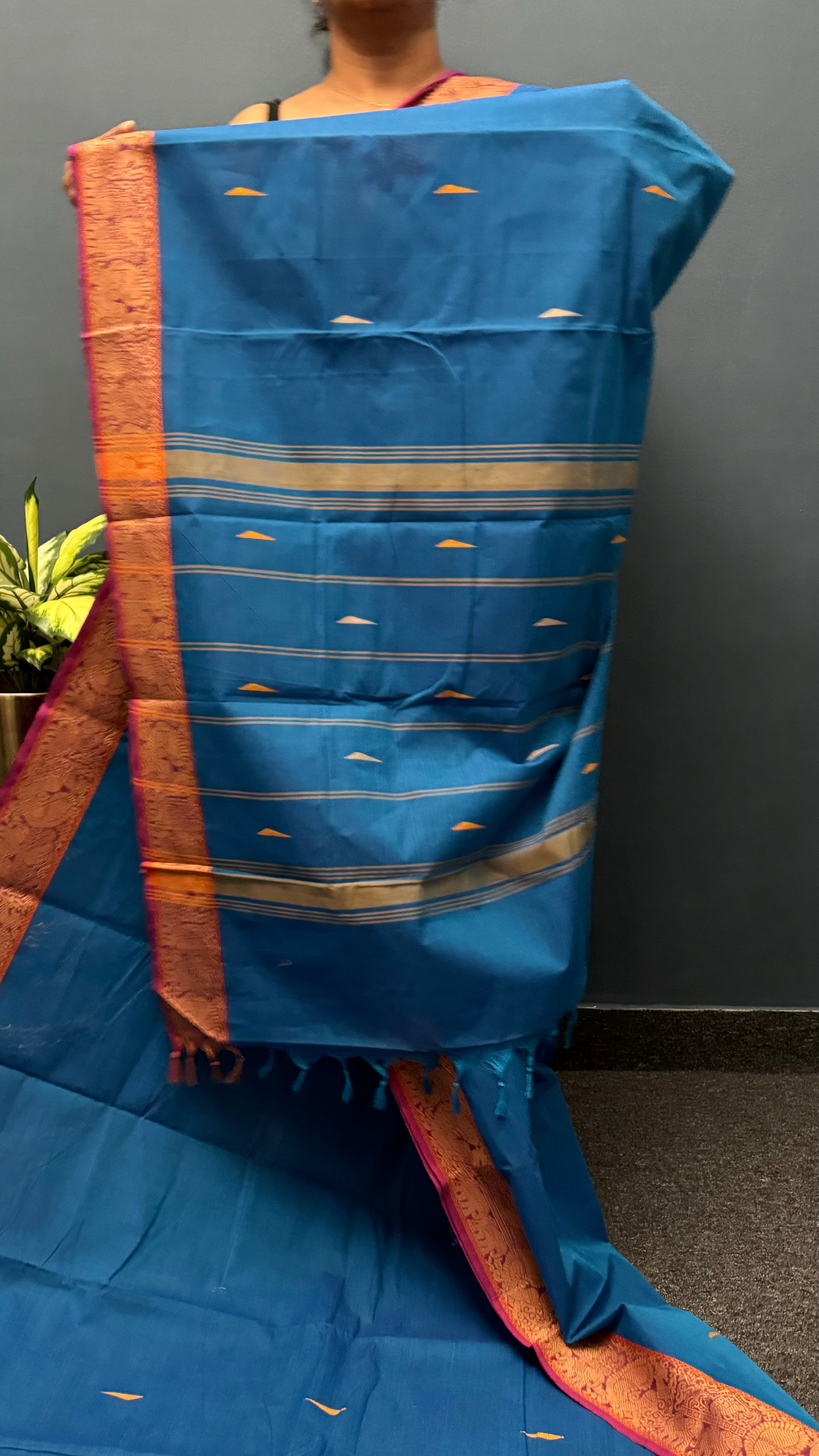 Blue Rain Drop and Vanasingaram Border Chettinadu Cotton Saree