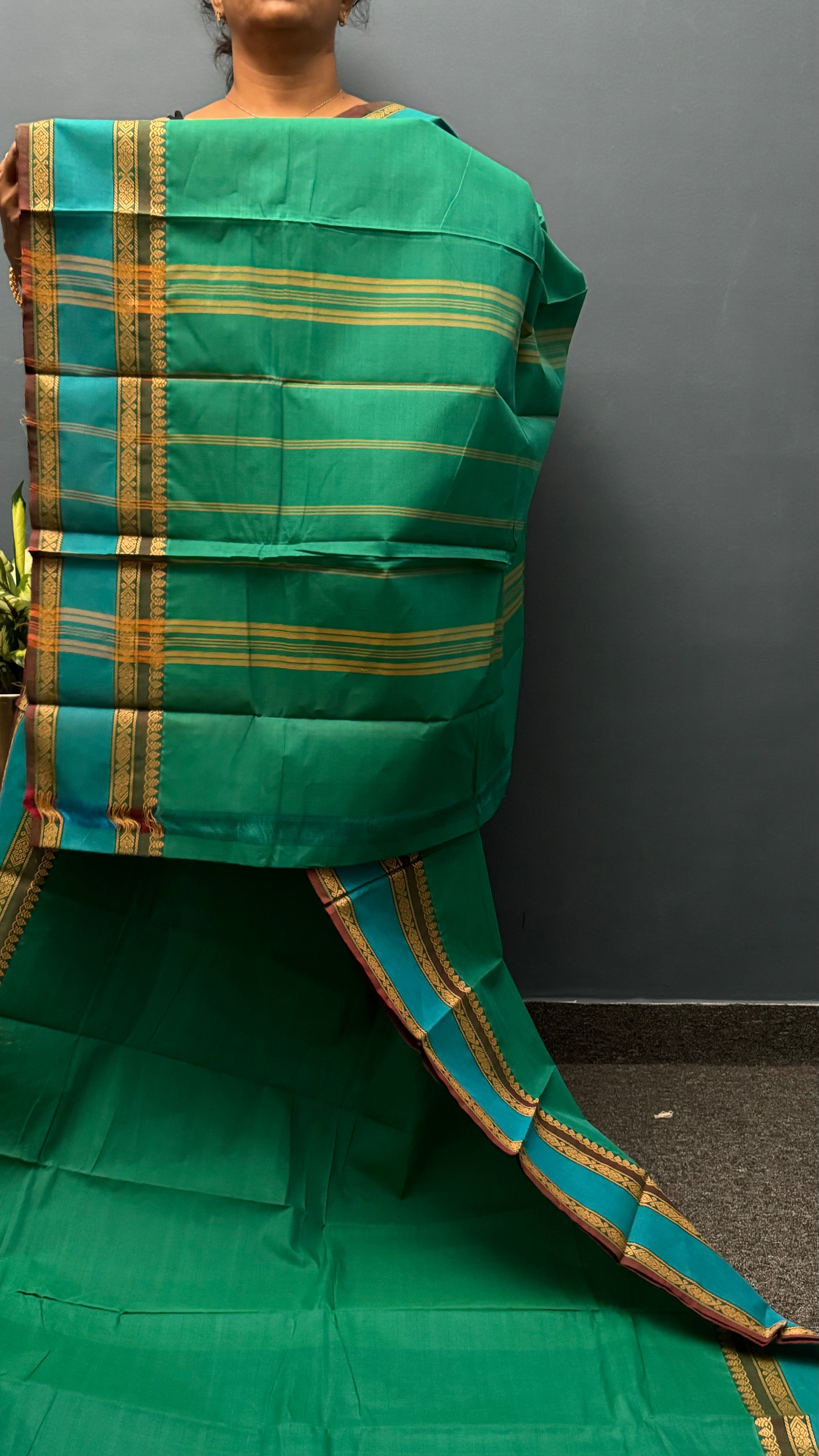 Green and Sky Blue Retta Betta Chettinadu Cotton Saree