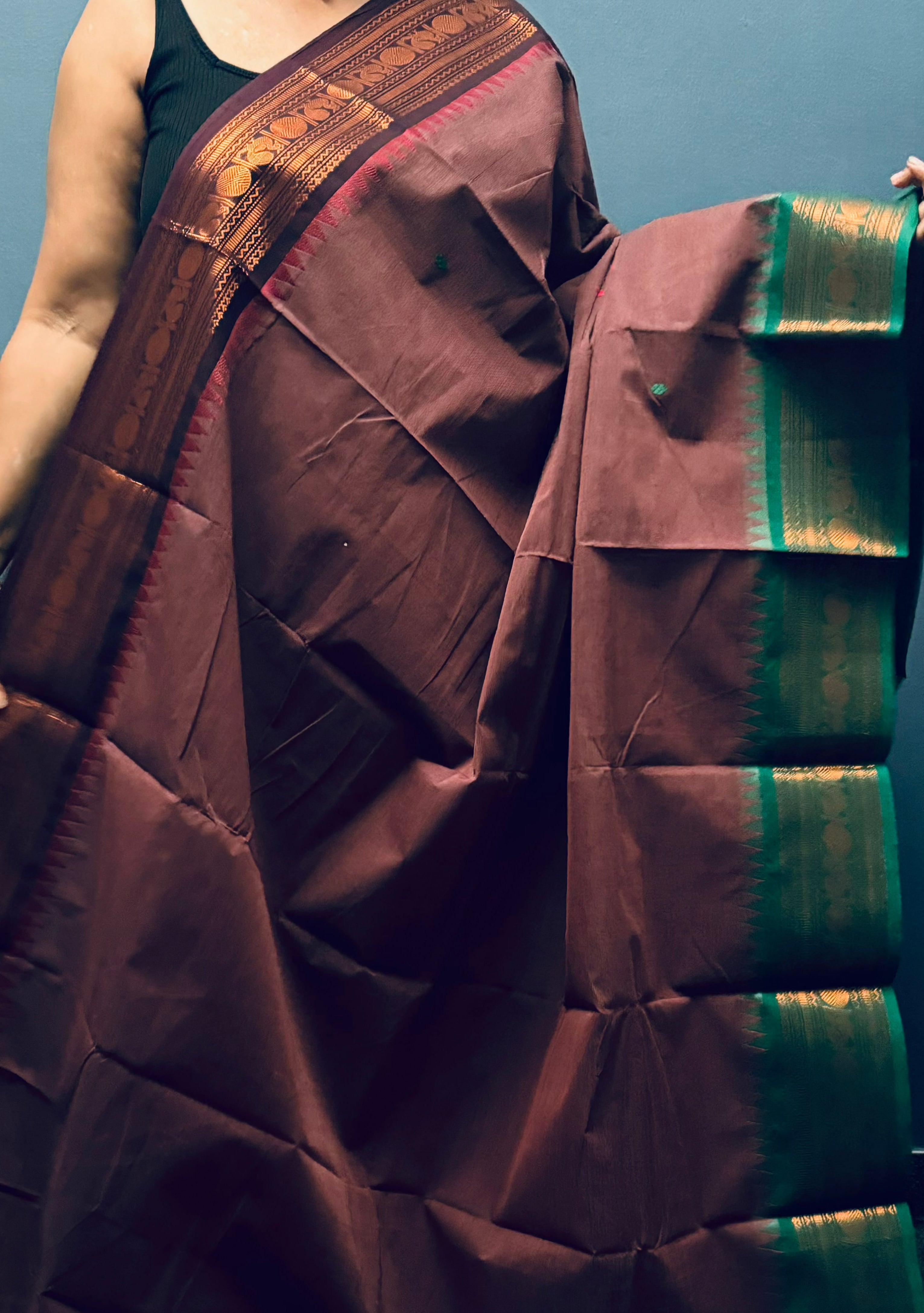 Brown and GreenGanga Jamuna Chettinadu Cotton Saree