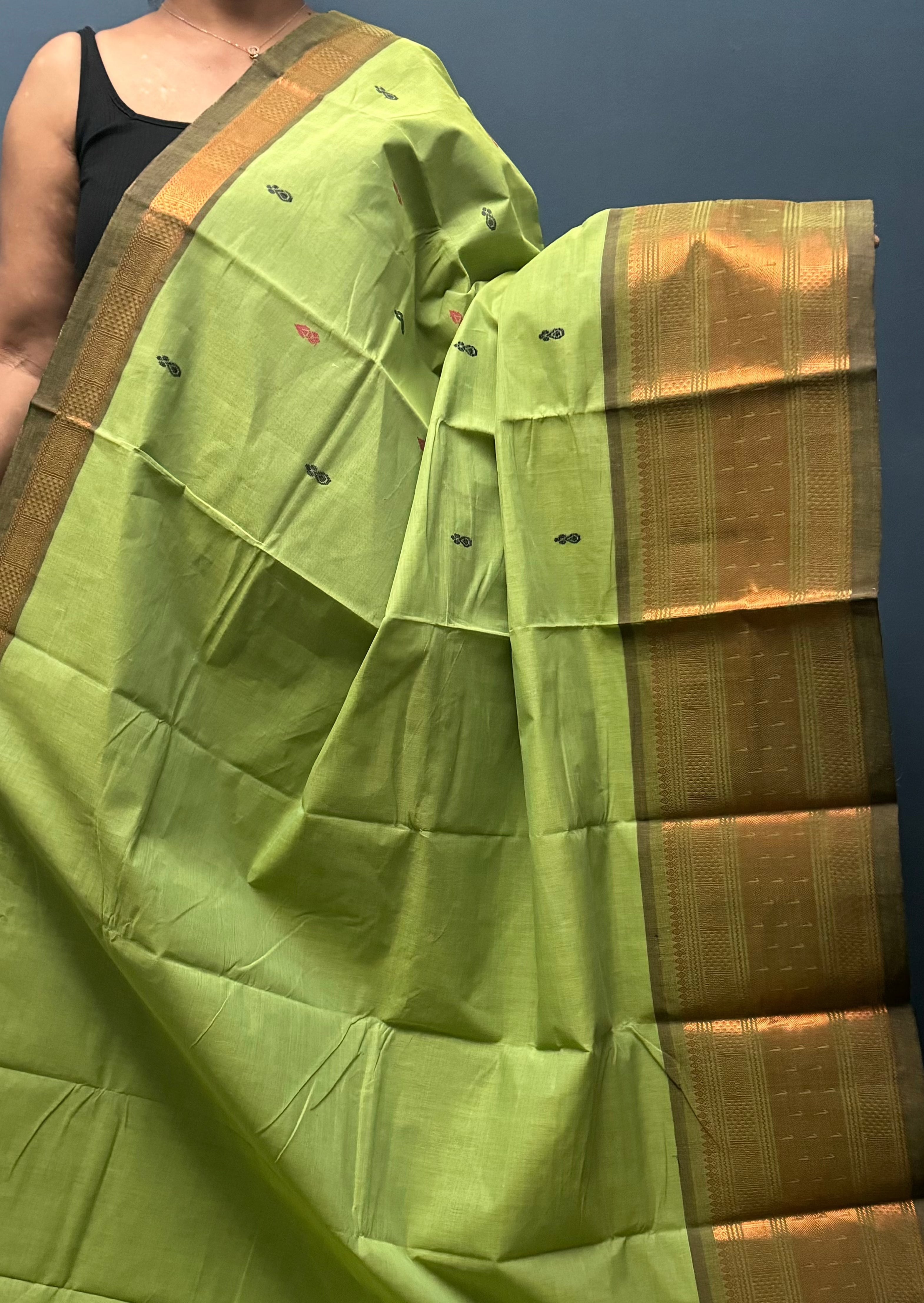 Pastel green big border saree