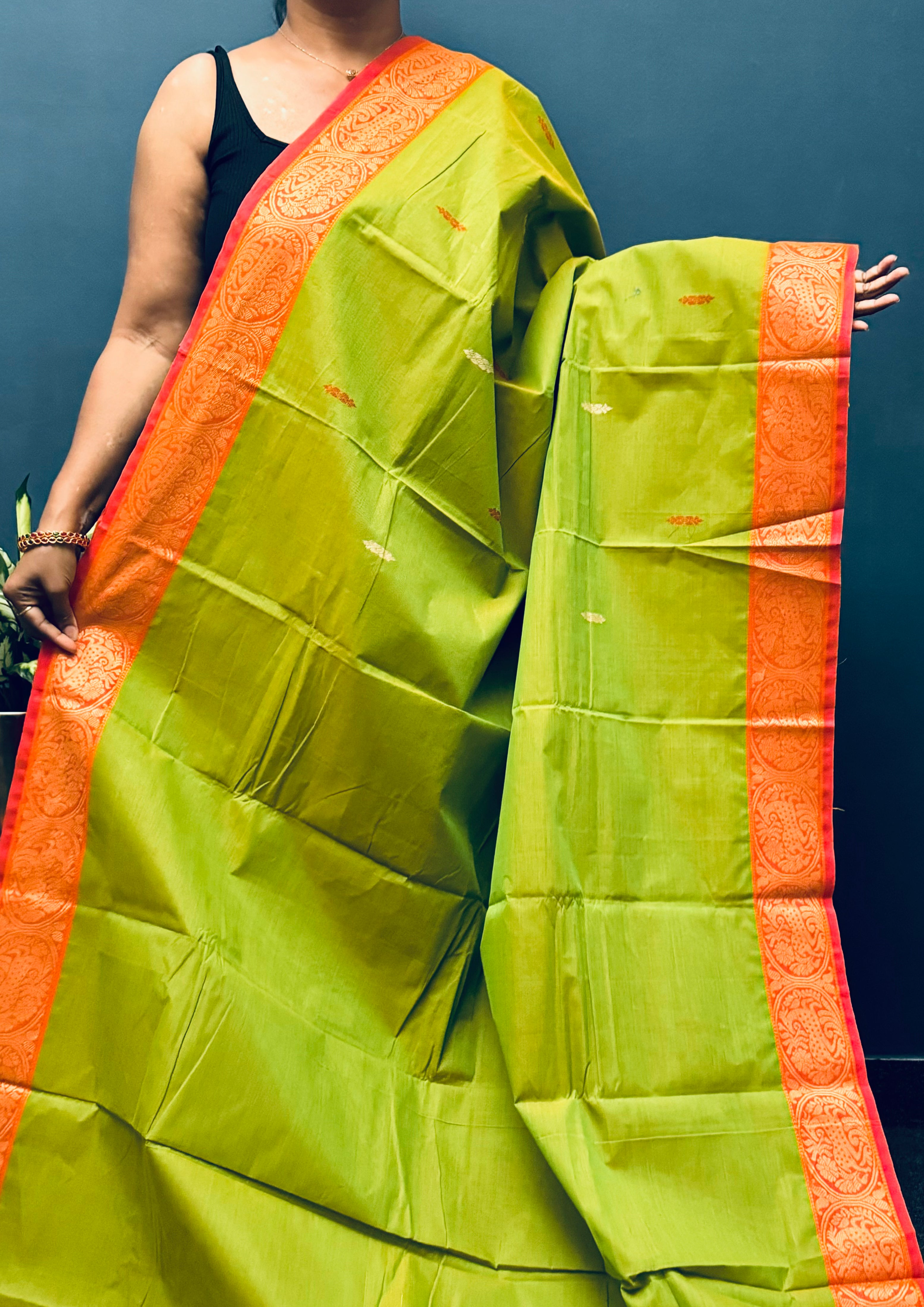 Lime Green and Deer Border Chettinadu Cotton Saree