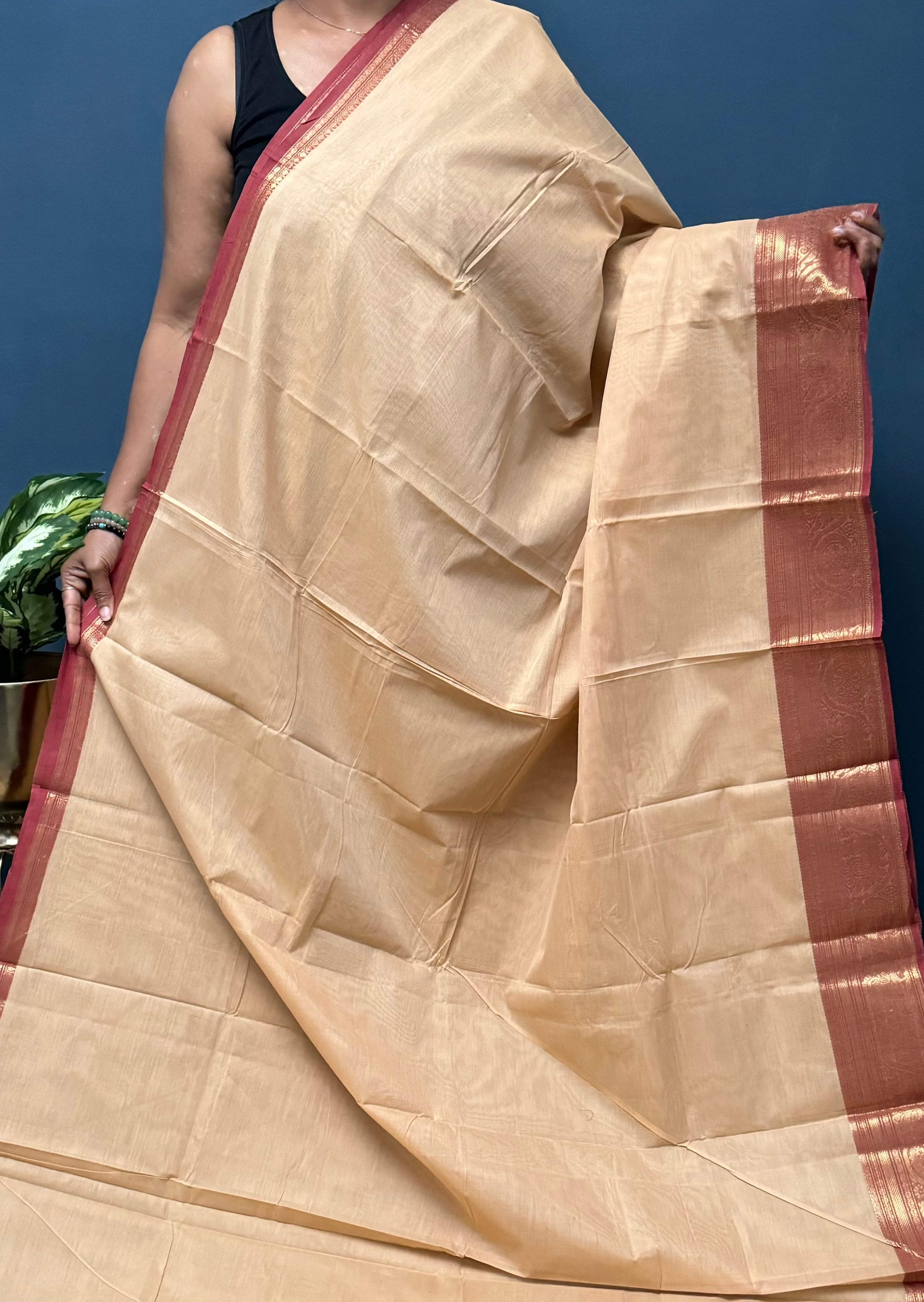 Beige and Brown Chettinadu Cotton Saree